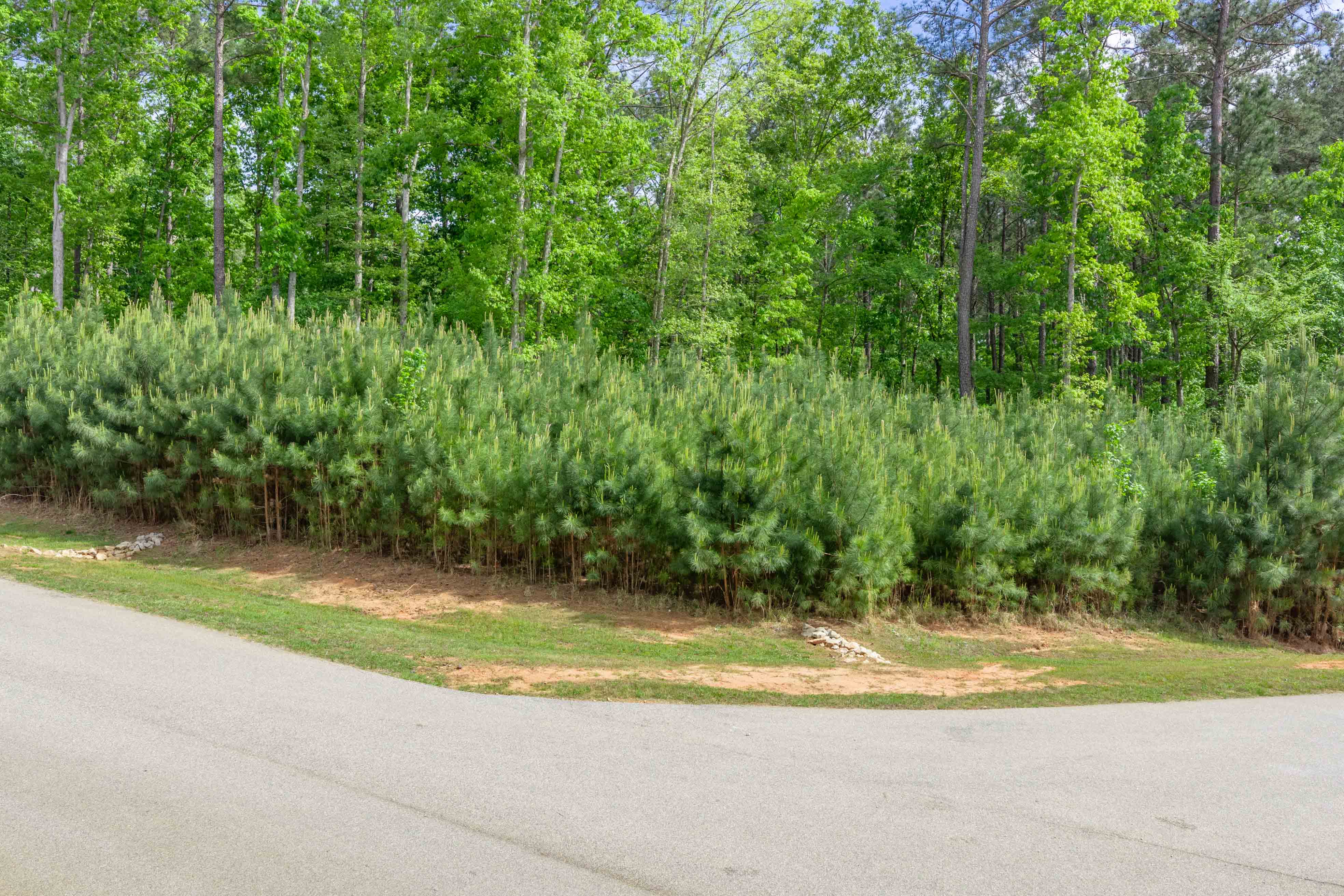 1010 Nighthawk Way image 2